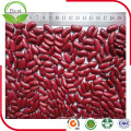 2016 Nuevo Crop Dark Red Kidney Beans